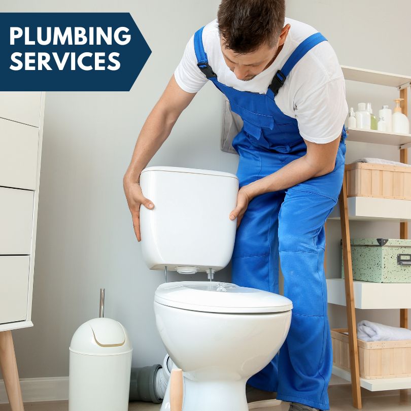 Plumbing Company in Rhodes, MI